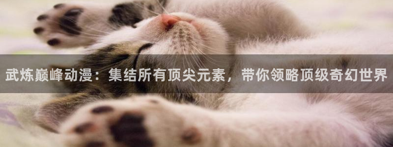 囧次元下载最新