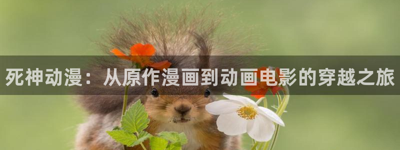 囧次元最新版下载