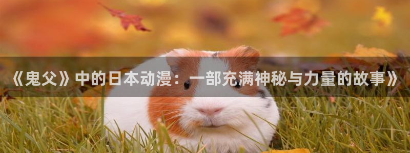 囧次元下载入口