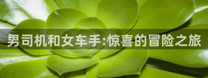 囧次元正版下载安装