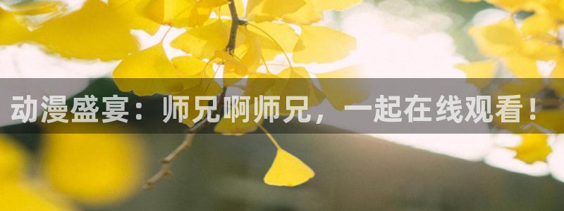 囧次元为什么打不开了