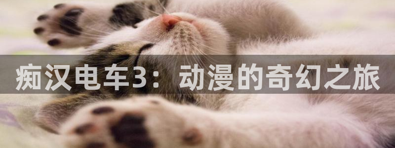 囧次元官方正版官网入口