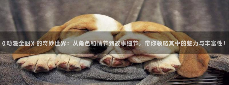 囧次元手机号注册入口