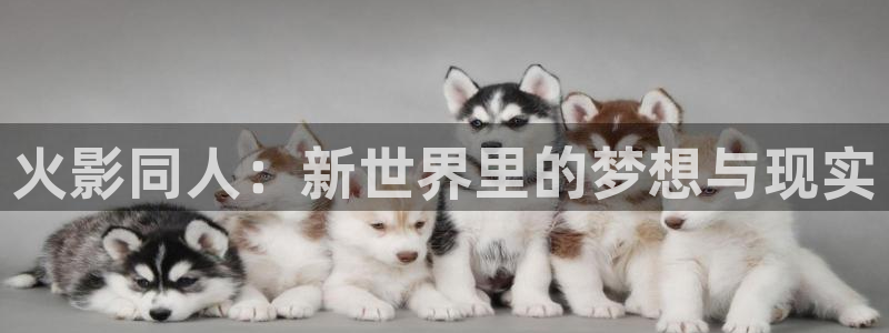 囧次元app最新版本