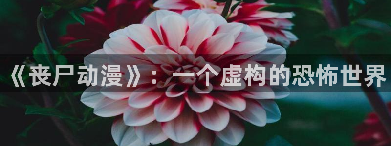 jcapp囧次元官网入口