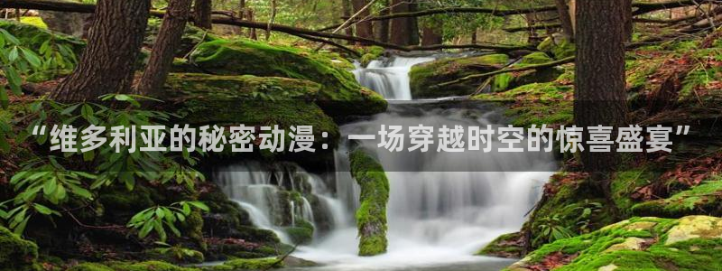 囧次元