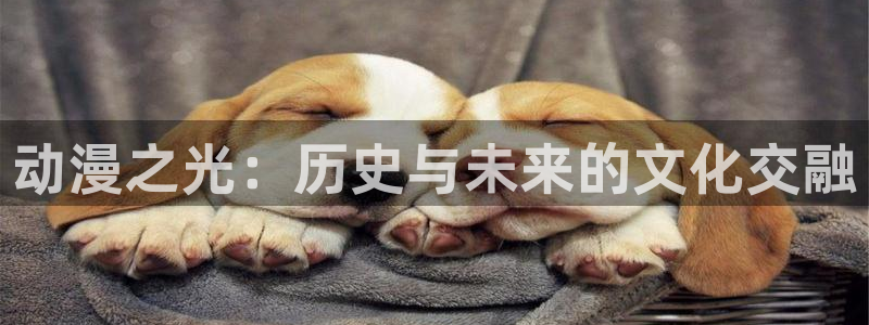 囧次元免费下载