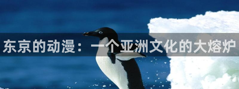 囧次元官方官网
