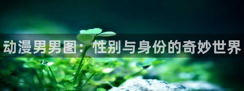 囧次元网页