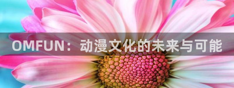 囧次元官网入口下载最新版