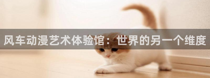 囧次元正版官网