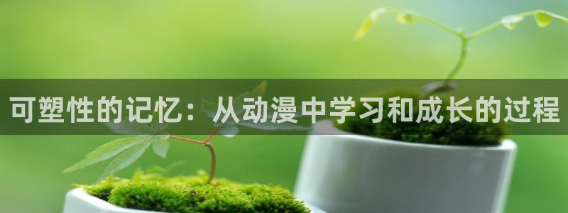 囧次元官方网页版入口