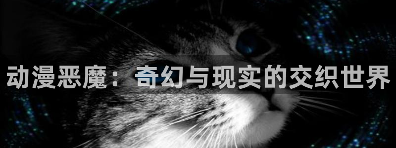 囧次元正版官方下载