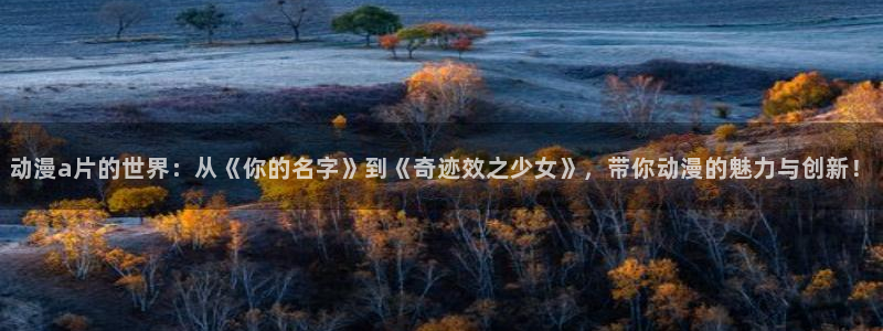 囧次元下载链接