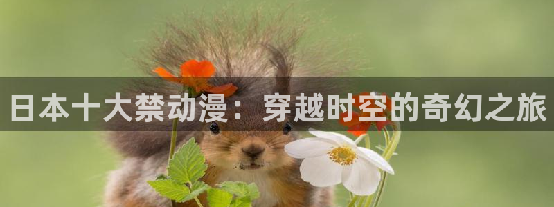 囧次元网页版进入