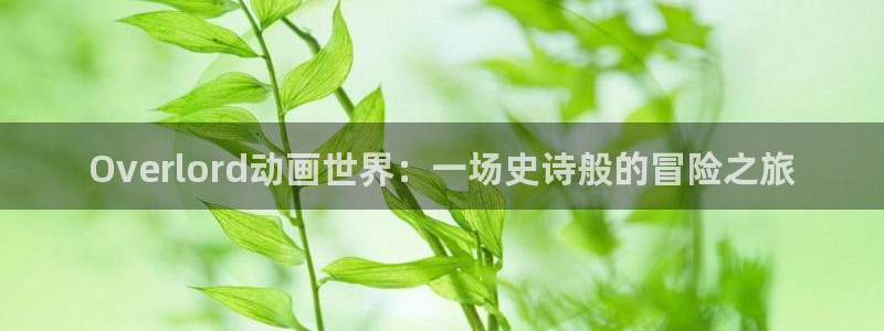 囧次元是哪个公司的