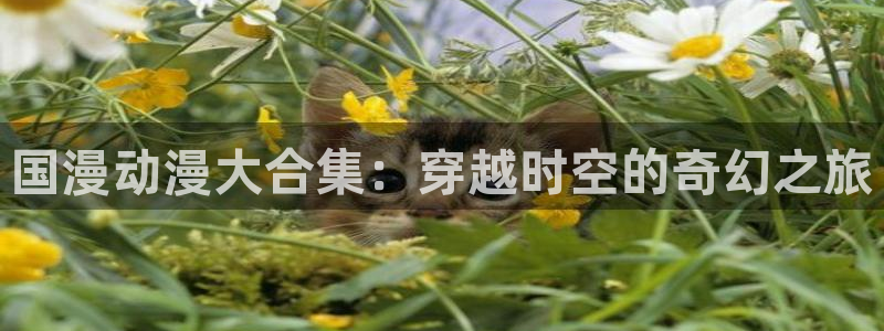 囧次元官方网页版入口