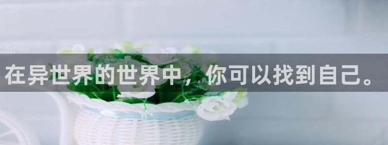 囧次元官方网站入口下载最新版本