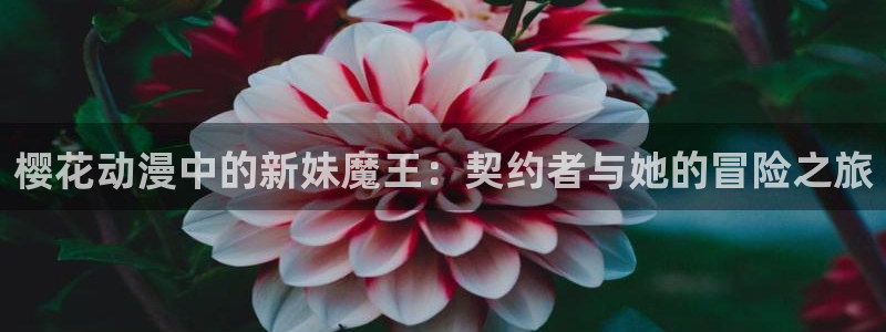 jcapp囧次元官网入口