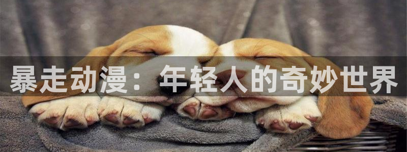 囧次元 下载