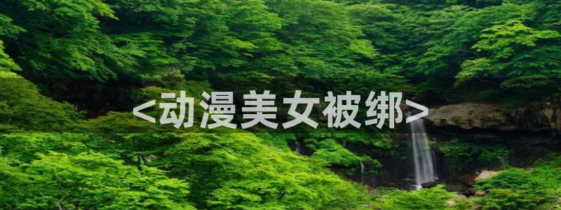 囧次元在线观看