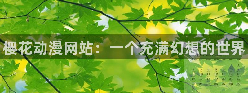 囧次元正版下载安装
