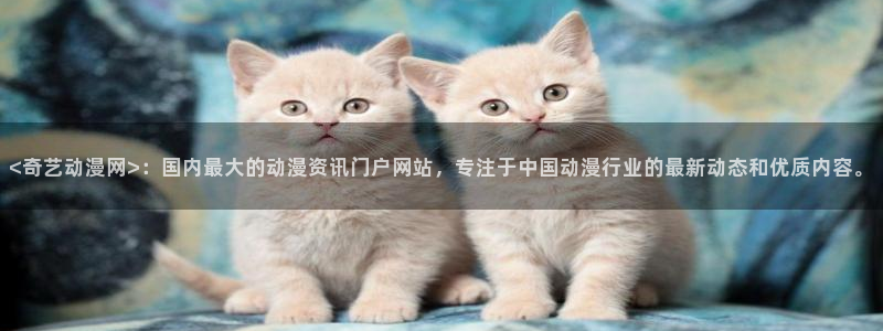 囧次元app下载官网版