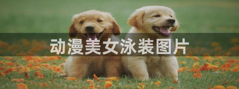 囧次元1.5.7.9官网入口