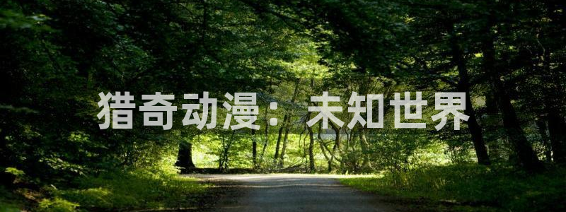 囧次元下载正版官网