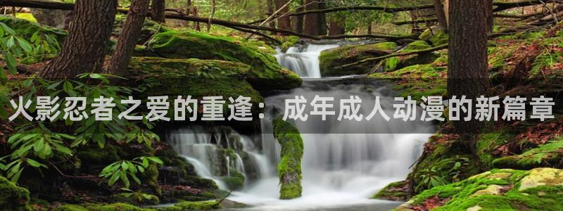 囧次元app下载官网网址