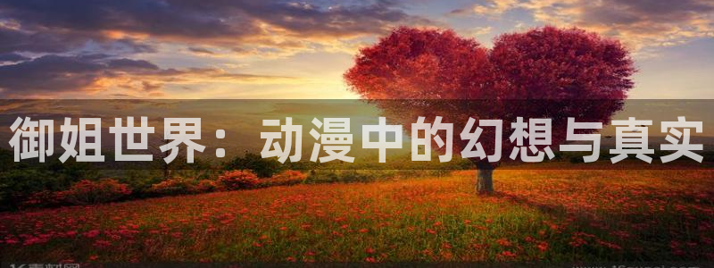 囧次元官方正版app下载