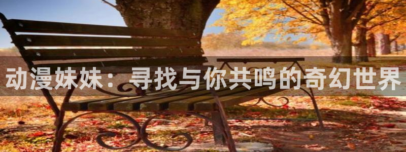 囧次元新版本下载