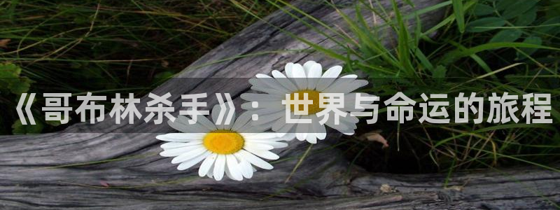 囧次元正版官方下载