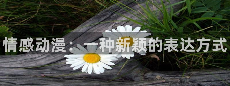 囧次元下载