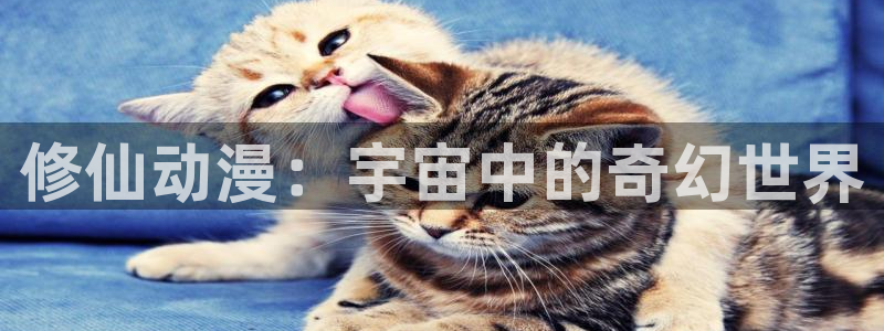 囧次元网页版