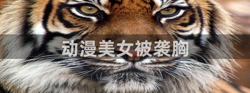 囧次元为什么打不开了