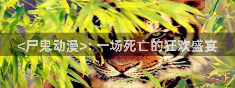 囧次元app官网下载