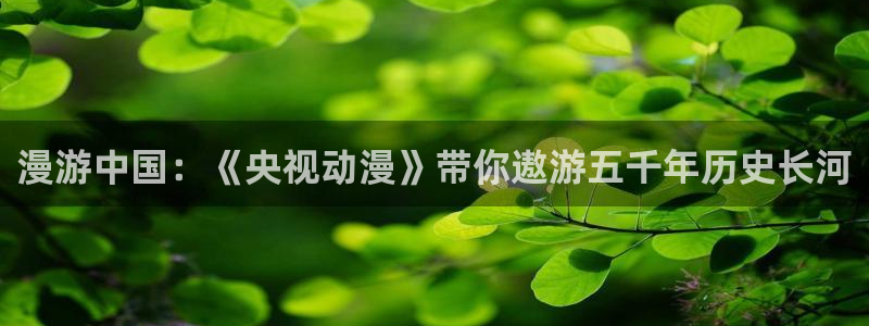 囧次元正版app下载网址