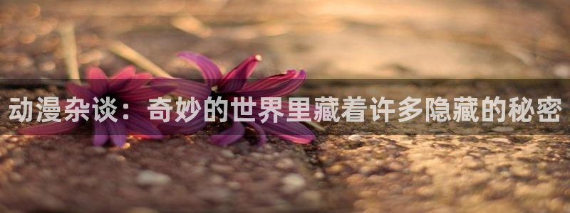 囧次元官方网页版