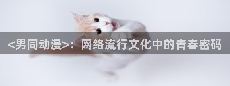 囧次元最新版：<男同动漫>：网络流行文化中的青春密码