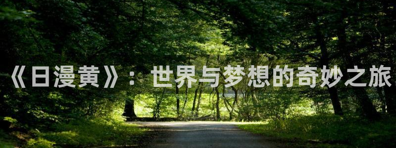 囧次元官方正版官网入口：《日漫黄》：世界与梦想的奇妙之旅