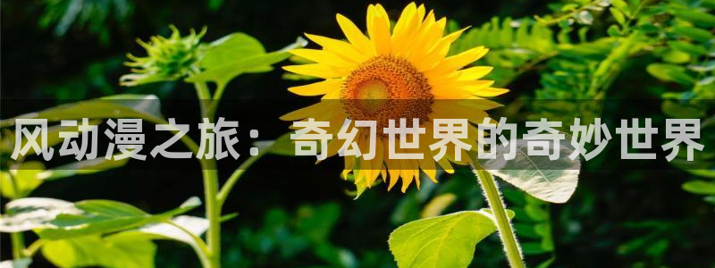 囧次元网页版在线：风动漫之旅：奇幻世界的奇妙世界