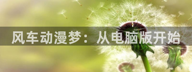 囧次元苹果版官方网站入口：风车动漫梦：从电脑版开始