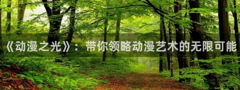 囧次元在哪下：《动漫之光》：带你领略动漫艺术的无限可能