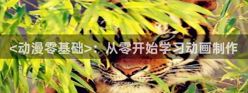 免费下载囧次元app：<动漫零基础>：从零开始学习动画制作