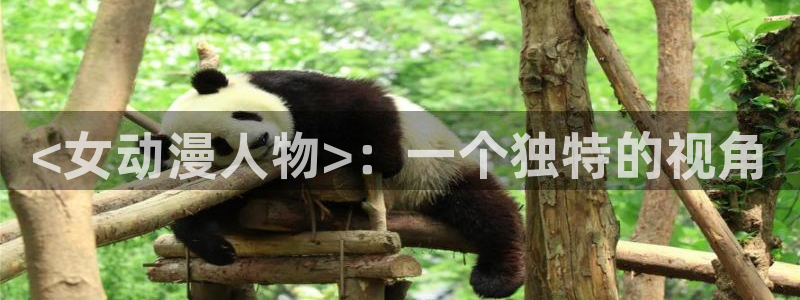 囧次元app下载动漫：<女动漫人物>：一个独特的视角