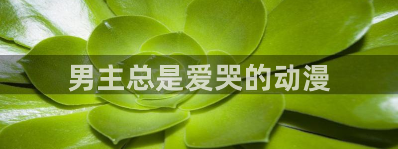 囧次元 翻译：男主总是爱哭的动漫