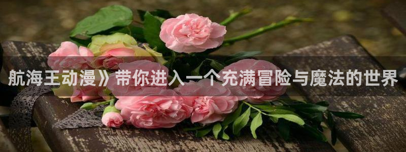 囧次元网站：航海王动漫》带你进入一个充满冒险与魔法的世界