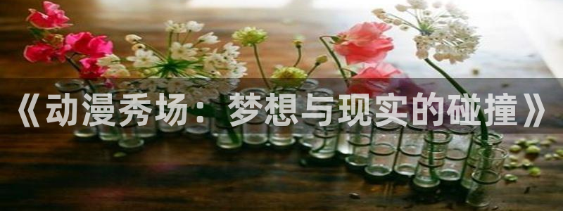 囧次元是什么：《动漫秀场：梦想与现实的碰撞》