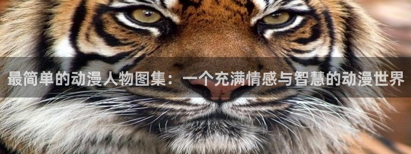 囧次元网页版：最简单的动漫人物图集：一个充满情感与智慧的动漫世界